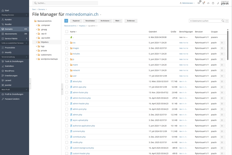 Plesk Dateimanager für Domains